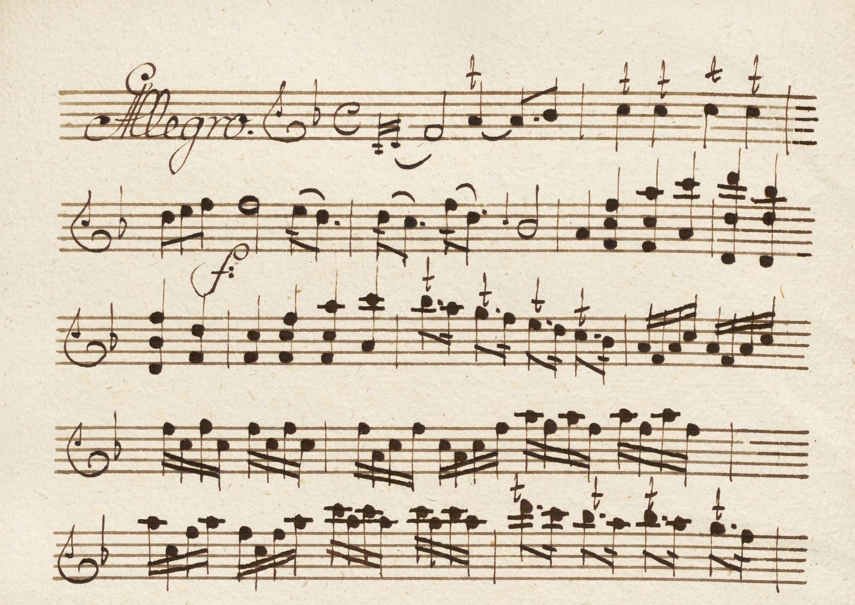 Typologie hudebních rukopisů